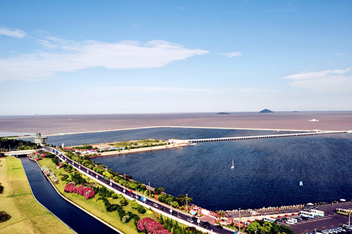 上海金山区:构建碳纤维产业生态圈